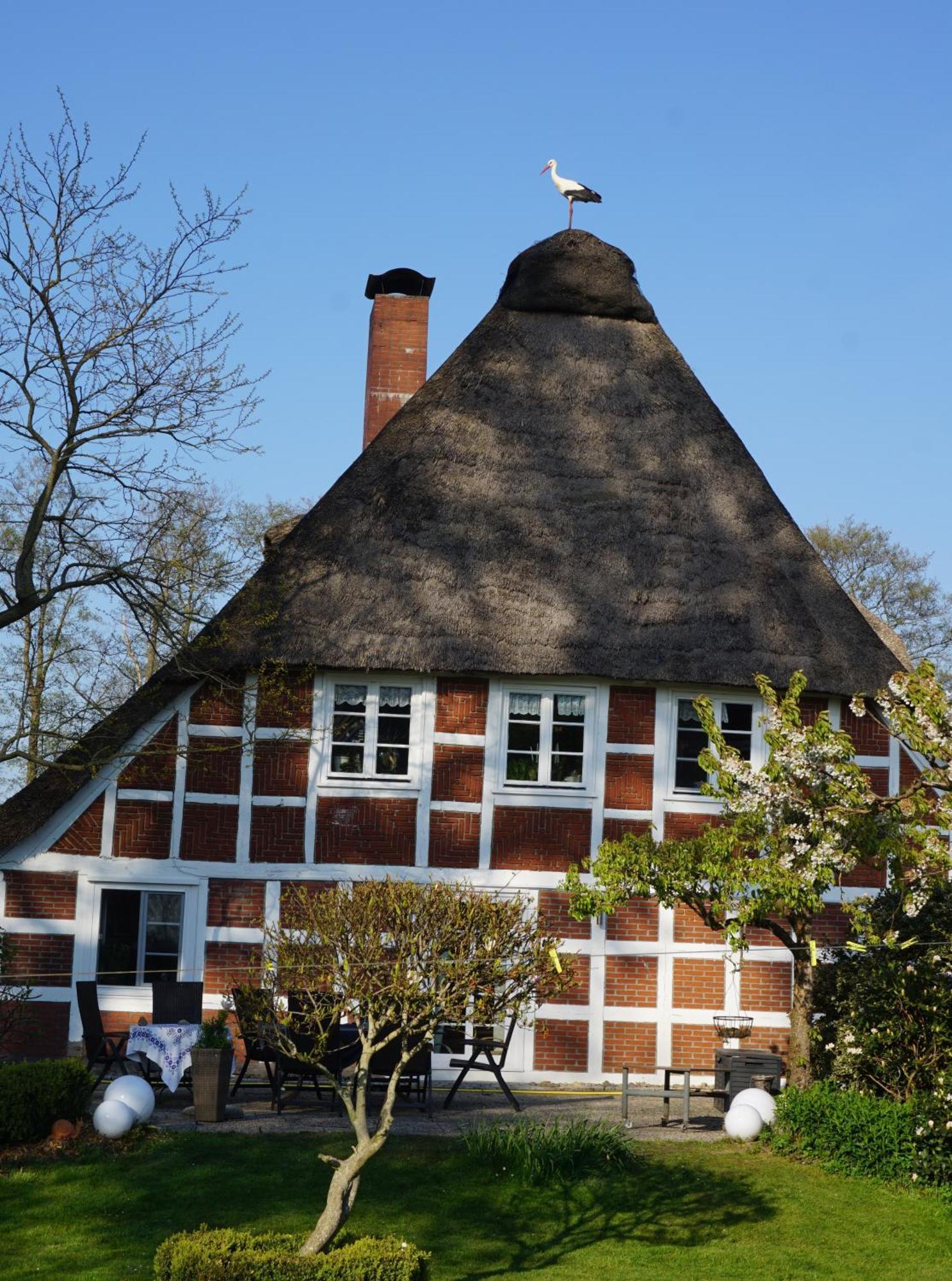 Hemmoor Altes Landhaus Oste, Klavier Appartement, 2 Zimmer Mit Kamin מראה חיצוני תמונה